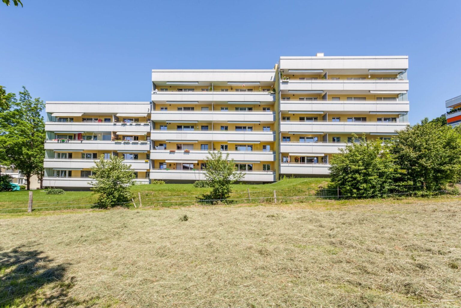 prime immobilien 1 25