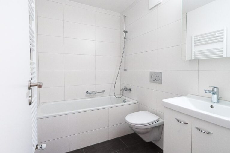 roca niedergoesgen w 83